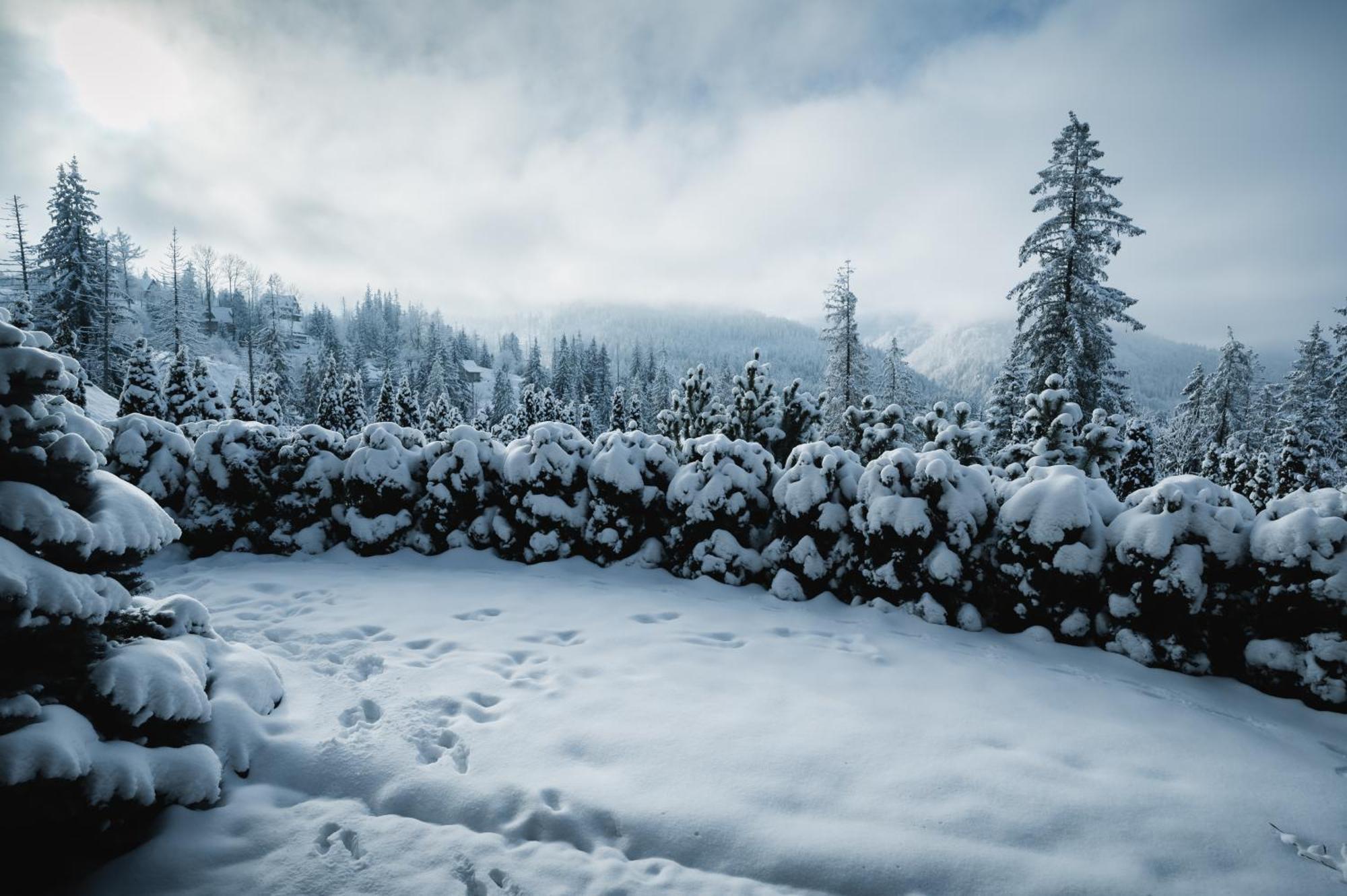 Visitzakopane - Janosik Apartment Екстериор снимка