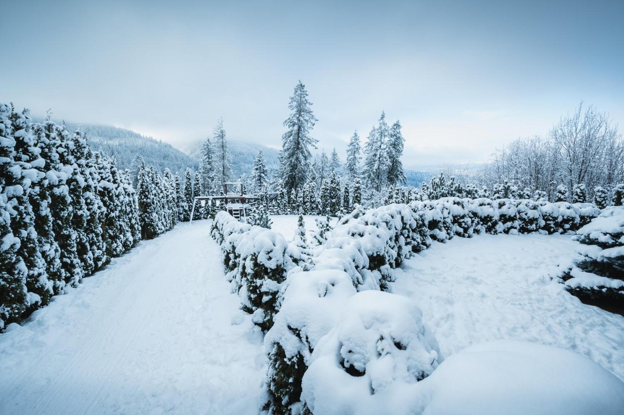 Visitzakopane - Janosik Apartment Екстериор снимка
